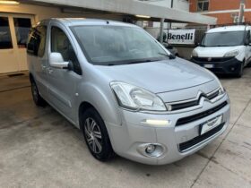 Citroen Berlingo 1.6 HDI Multispace